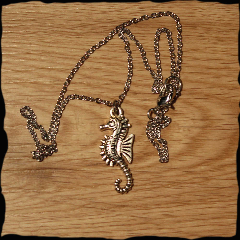 Chaînette chaine medaillon avec pendentif poisson animaux marins cheval de mer nature en métal argenté or québec canada