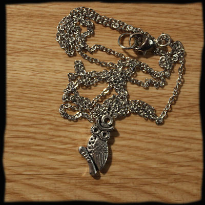 Chainette petit hibou sur une branche A258